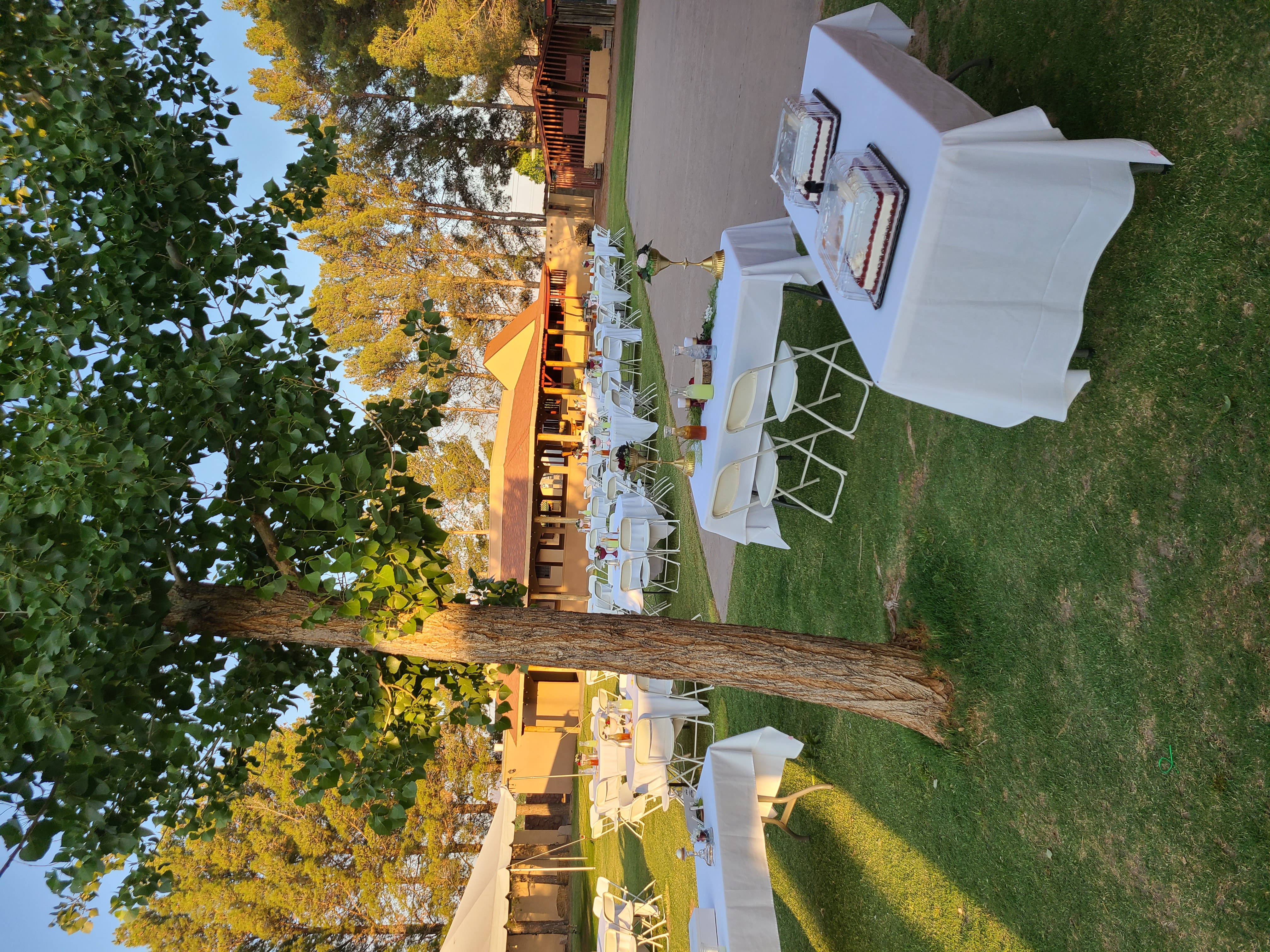 outdoor wedding at Grapevine Plaza